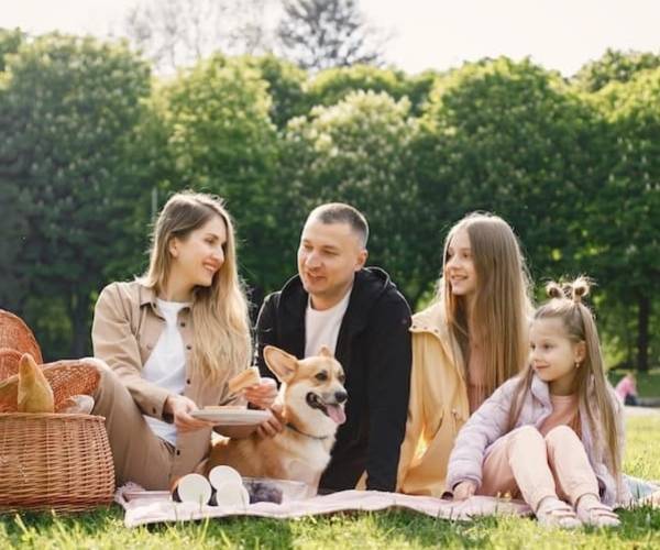 Alergija na ujed insekta - simptomi, reakcije i kada potražiti pomoć
