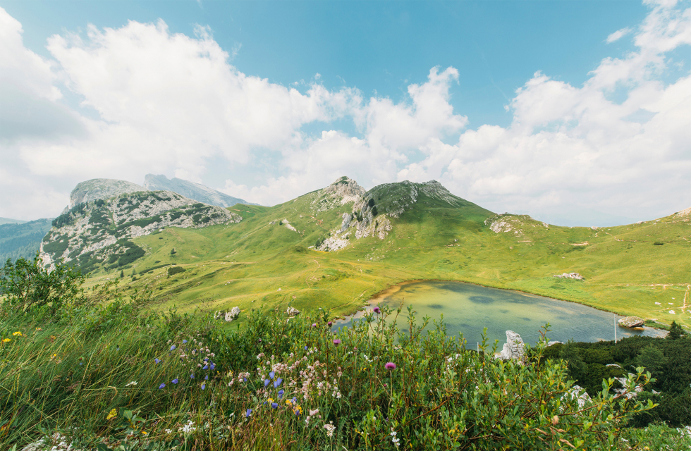 Obaveštenje o uvidu u dokumenta i akte društva